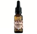 Scléranthe - Scléranthus (n°28), BIO, 20&nbsp;ml